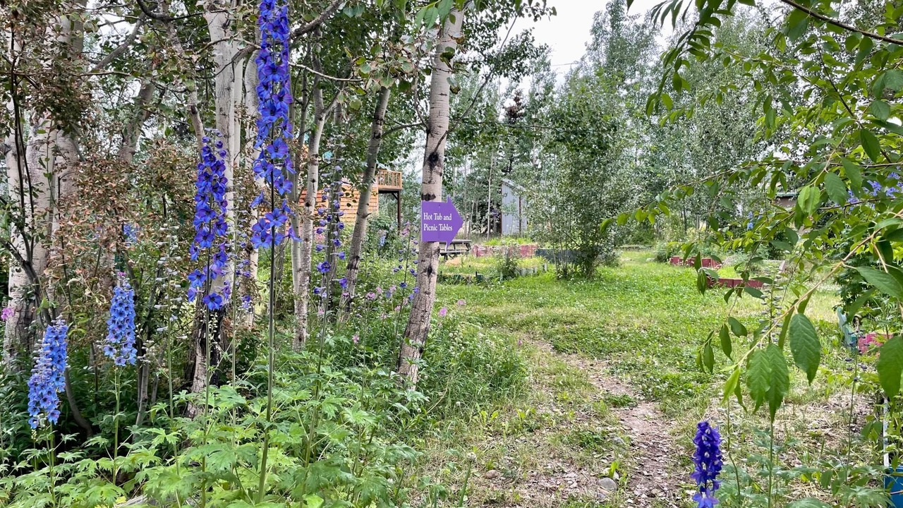 Photo of Outdoor in Whitehorse
