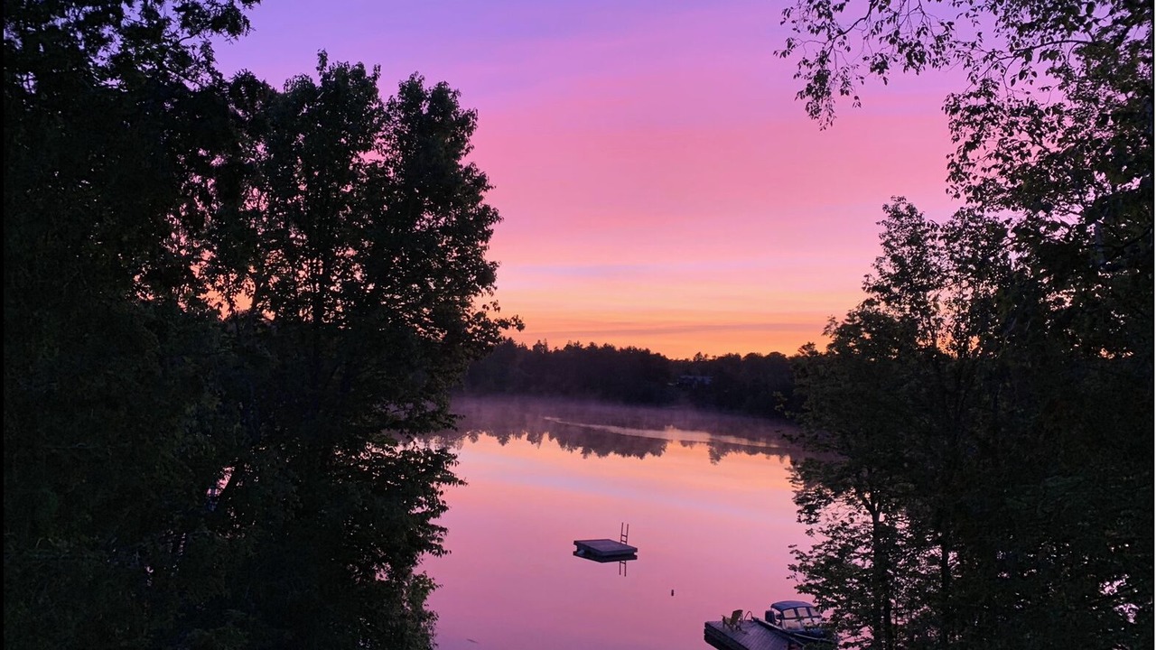 Photo of Others in McKellar