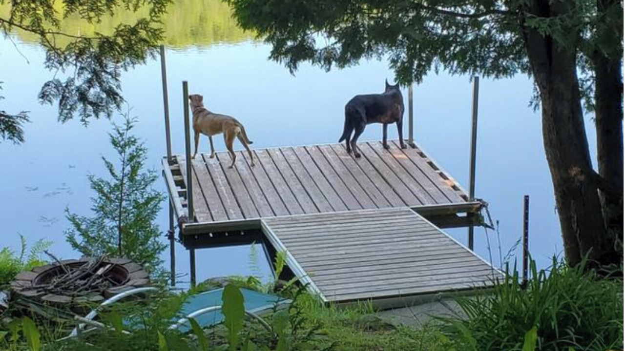 Photo of Outdoor in Amherst