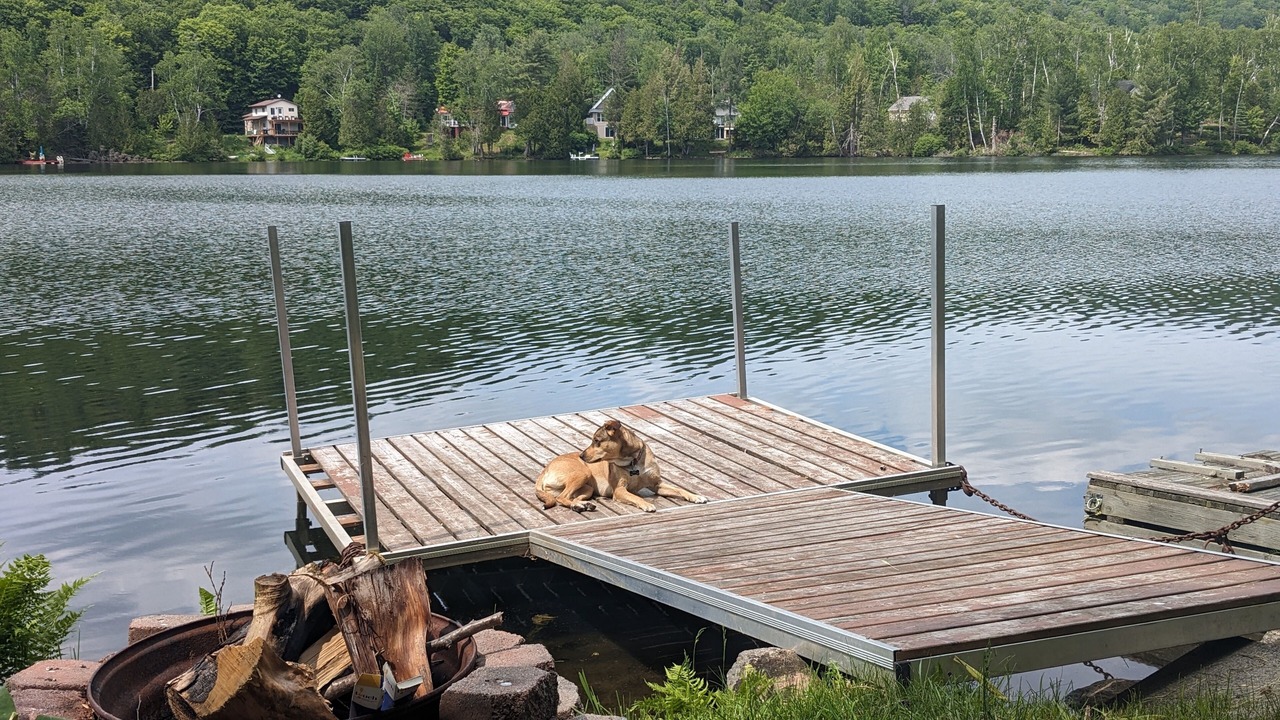 Photo of Outdoor in Amherst