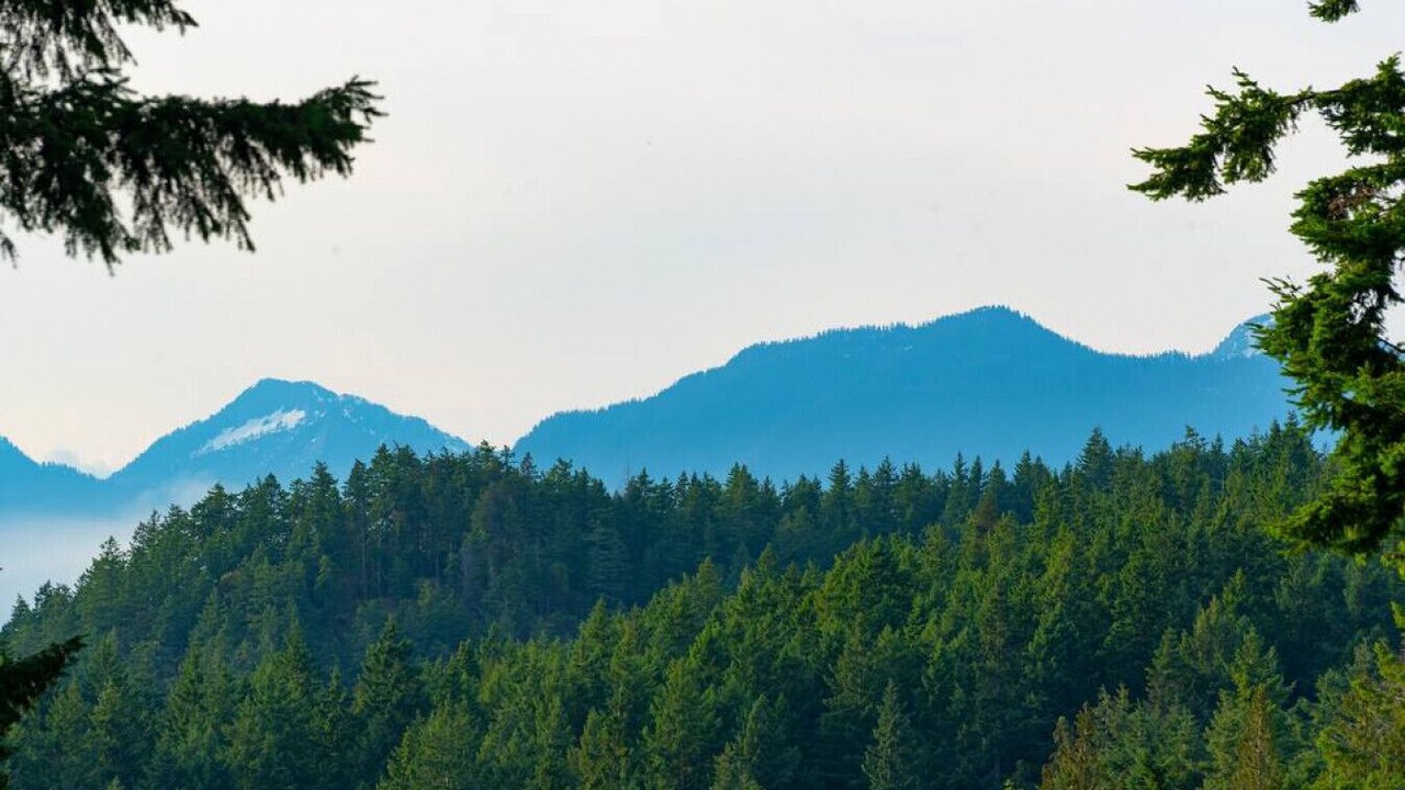 Photo of Others in Bowen Island