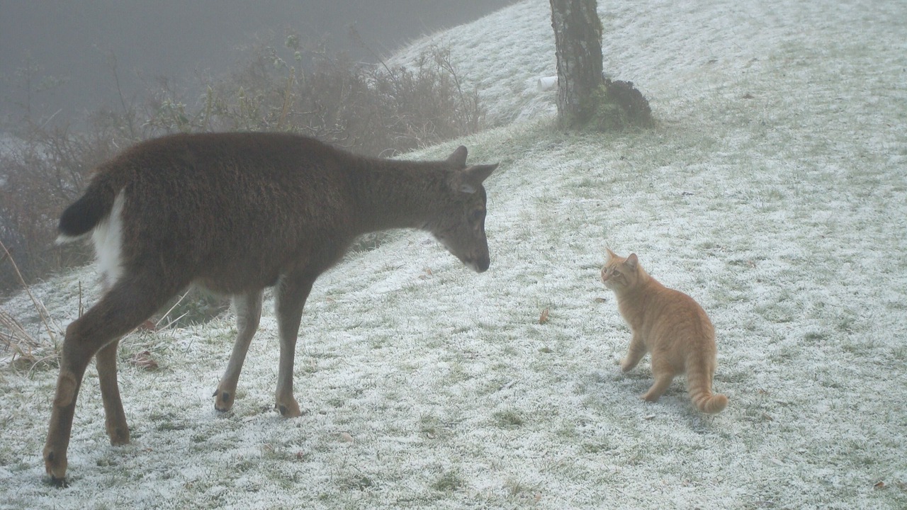 Photo of Outdoor in Maple Bay