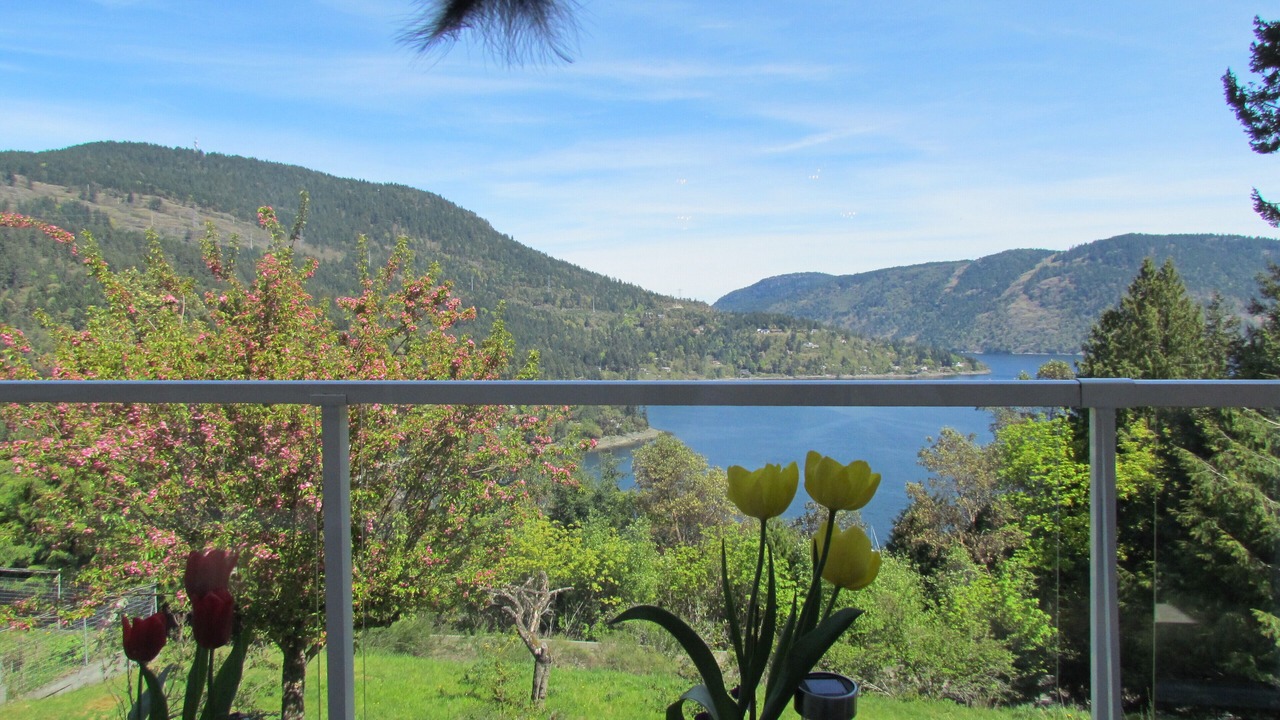 Photo of Outdoor in Maple Bay