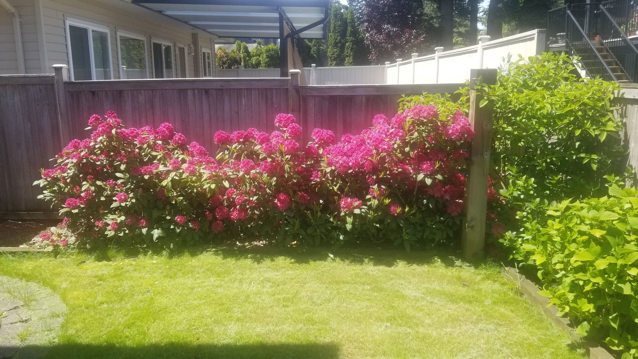 Photo of Outdoor in Sardis