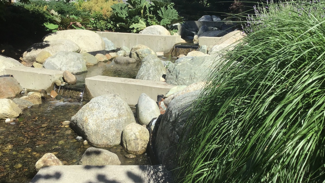 Photo of Outdoor in Vancouver