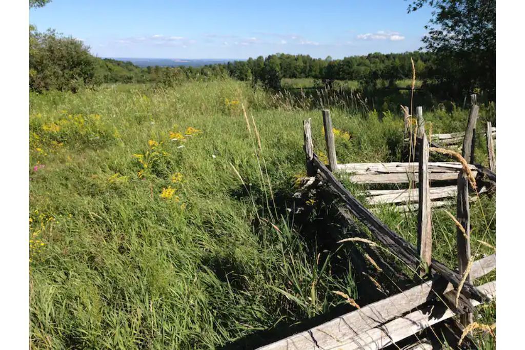 Photo of Outdoor in Creemore