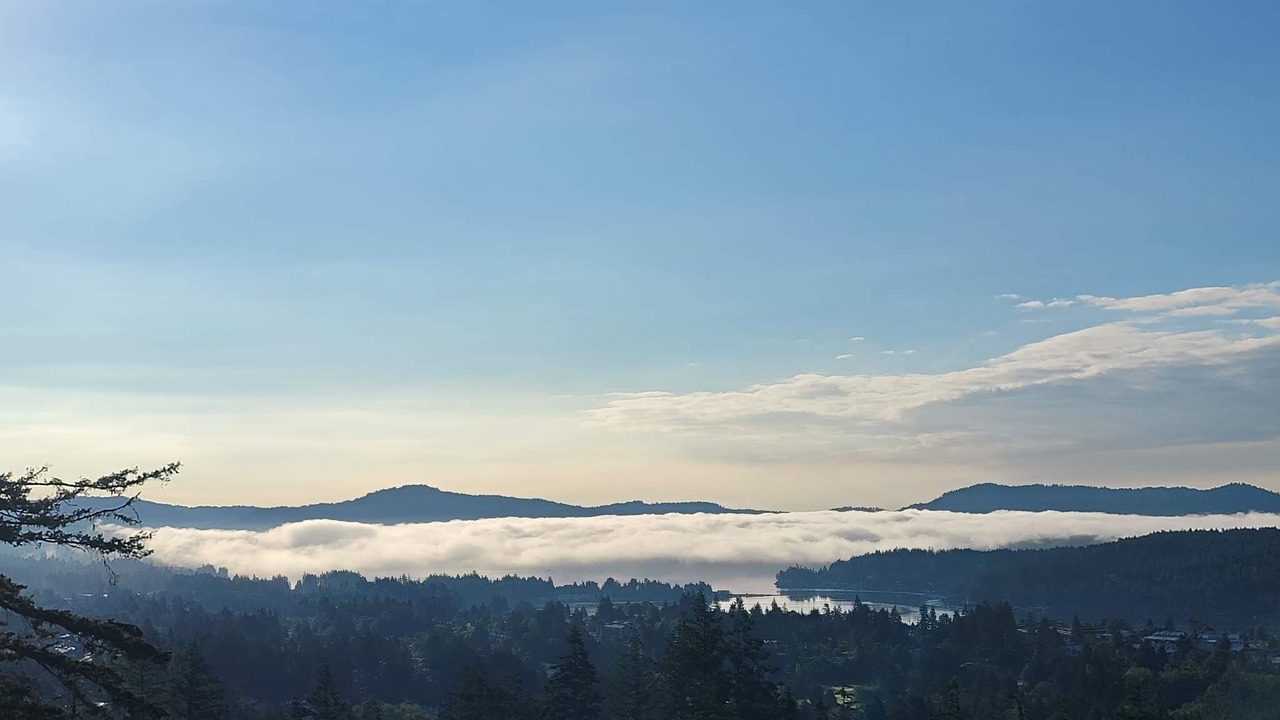 Photo of Others in Sooke