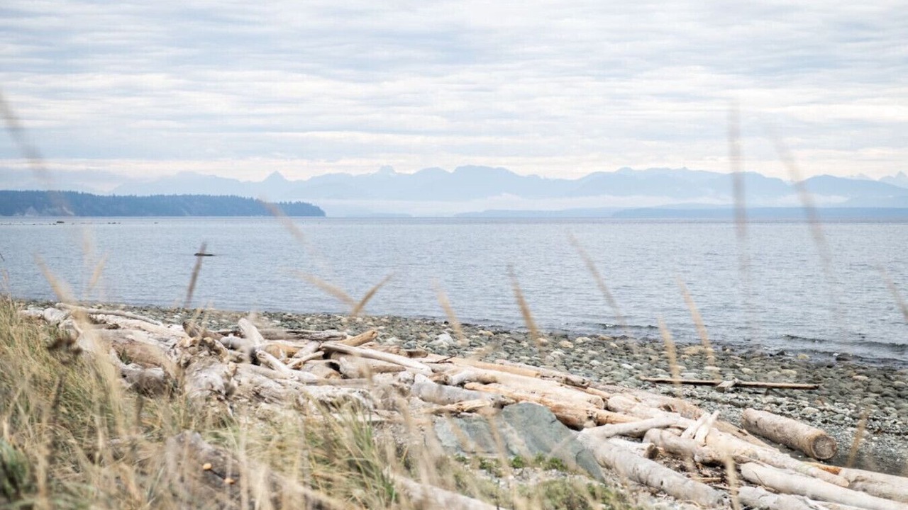 Photo of Others in Campbell River