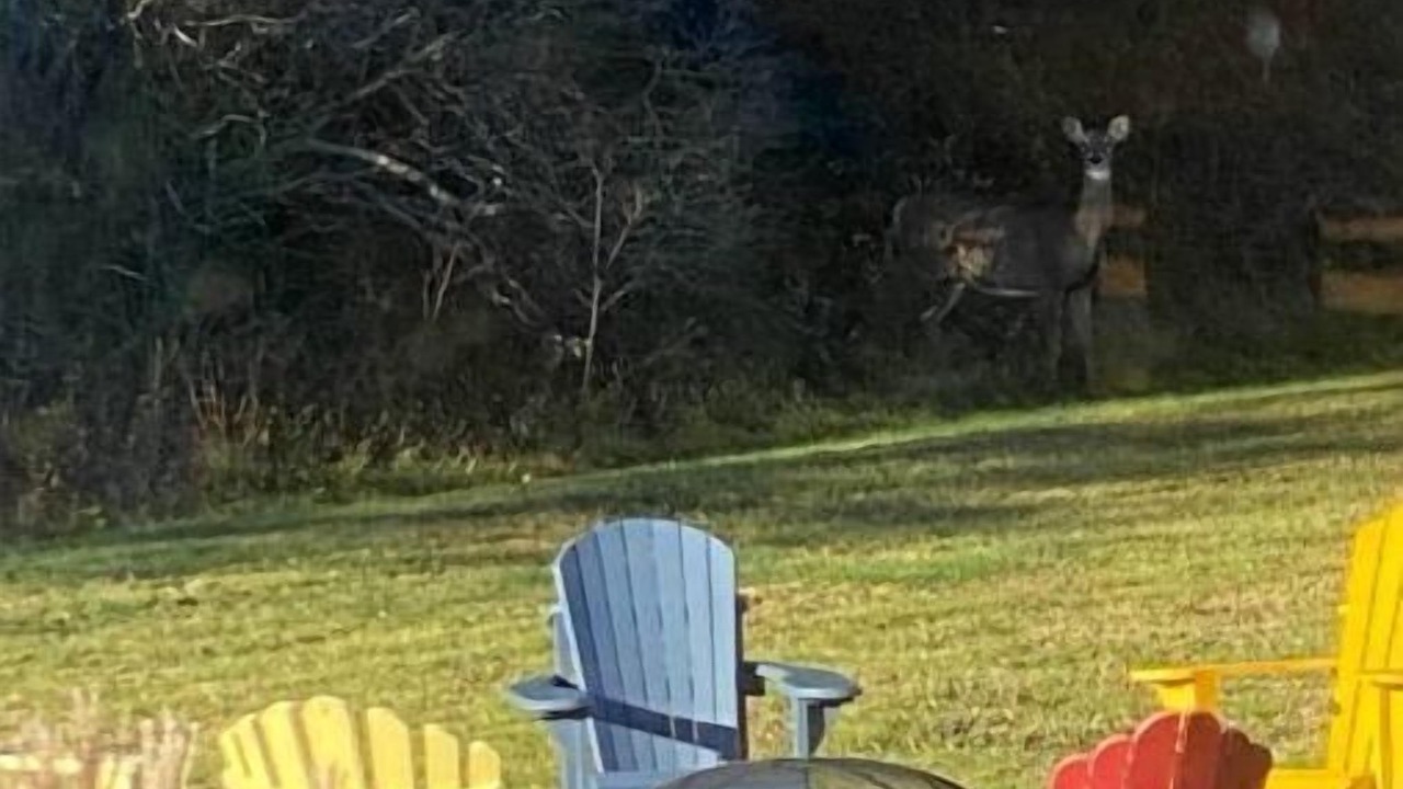 Photo of Outdoor in West Hants