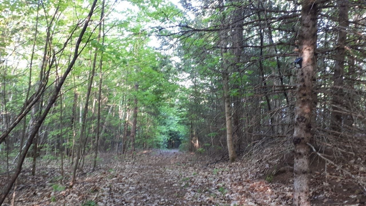 Photo of Others in Trent Lakes
