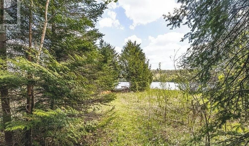 Photo of Others in Trent Lakes