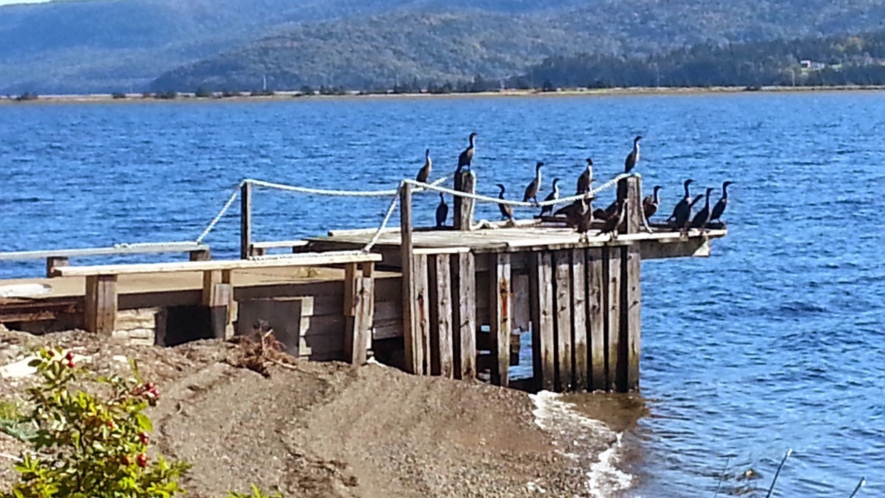 Photo of Others in Jersey Cove