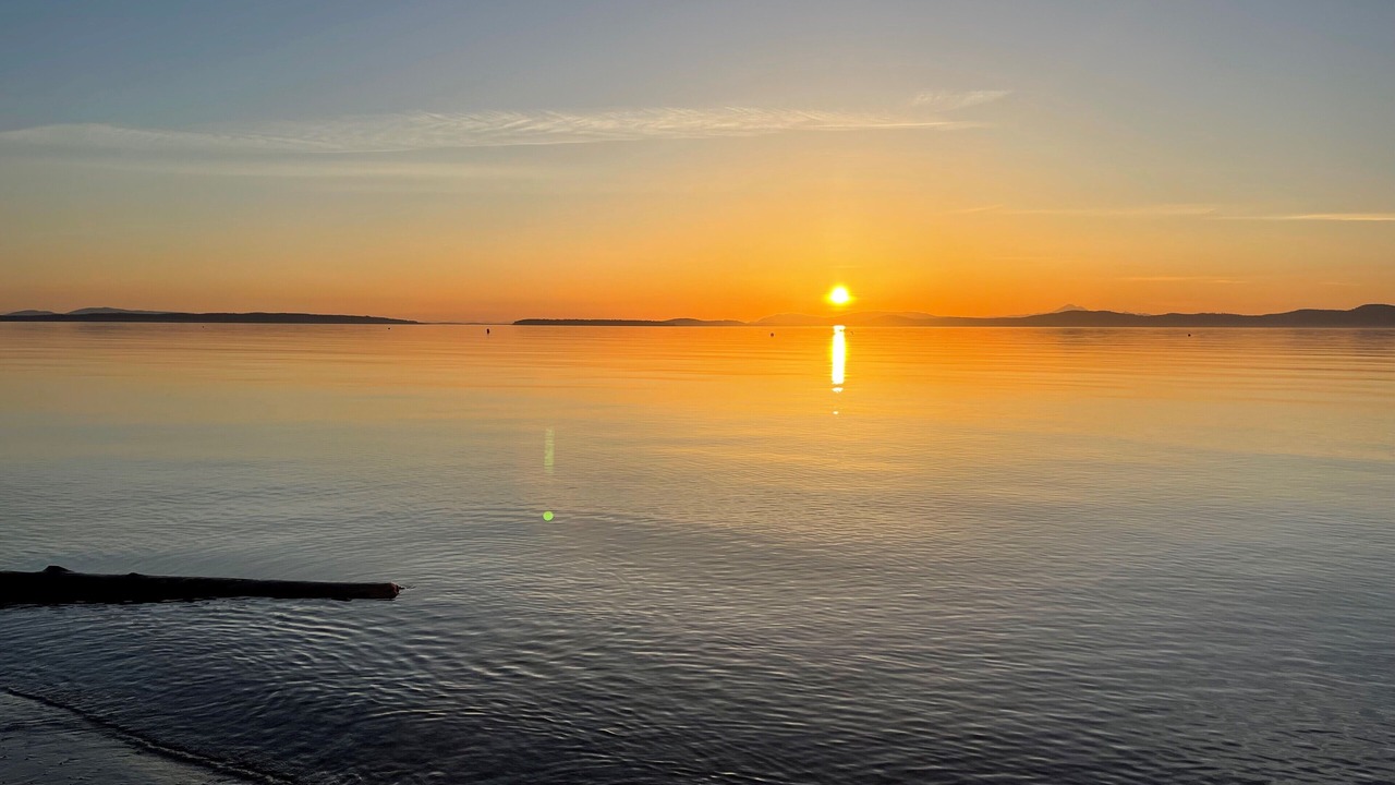 Photo of Outdoor in Cordova Bay