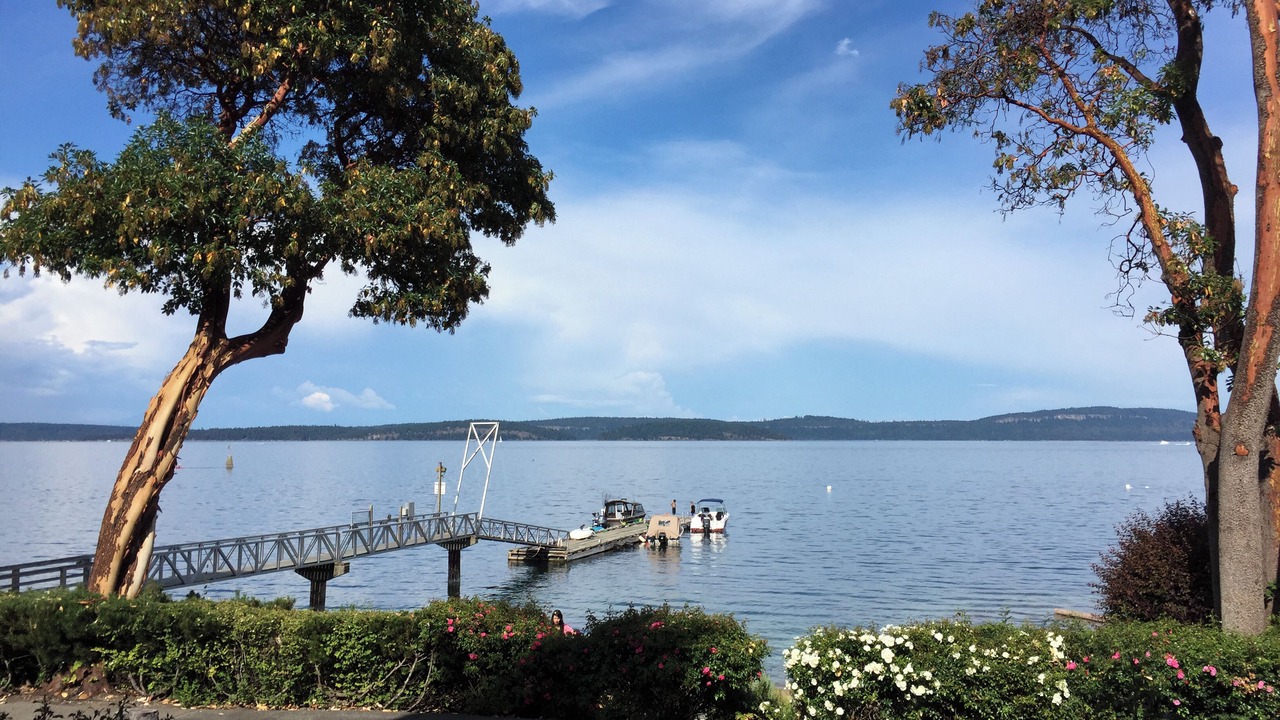 Photo of Outdoor in North Oyster