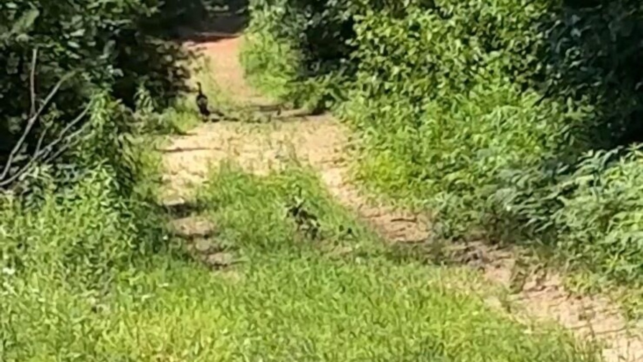 Photo of Others in Langton