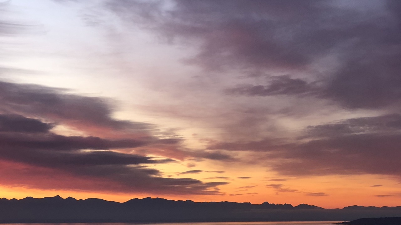Photo of Others in Powell River