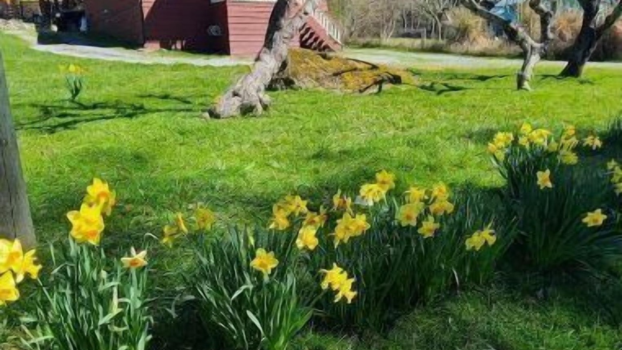 Photo of Outdoor in Sliammon
