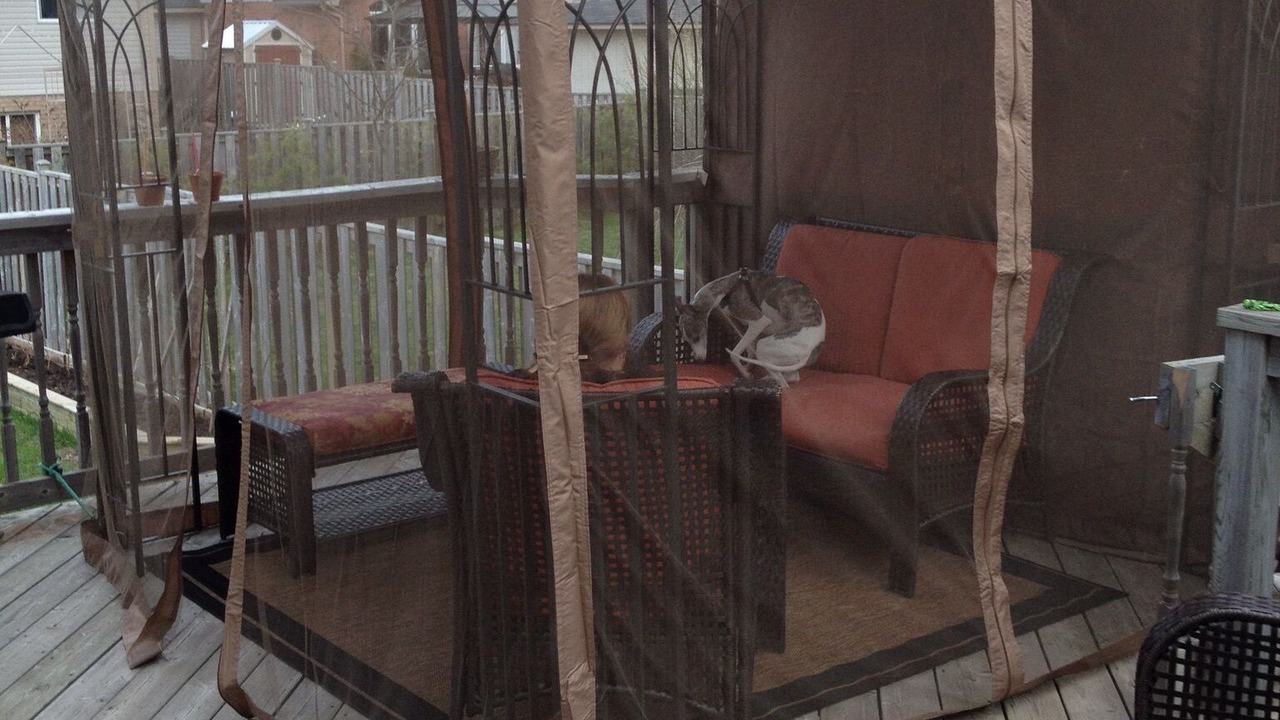 Photo of Patio Balcony in Smithville