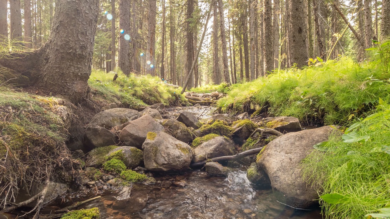 Photo of Outdoor in Alberta