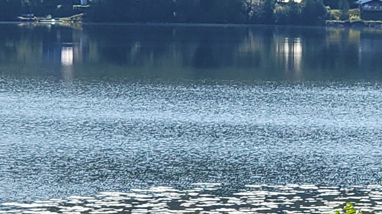 Photo of Outdoor in Riviere-Rouge