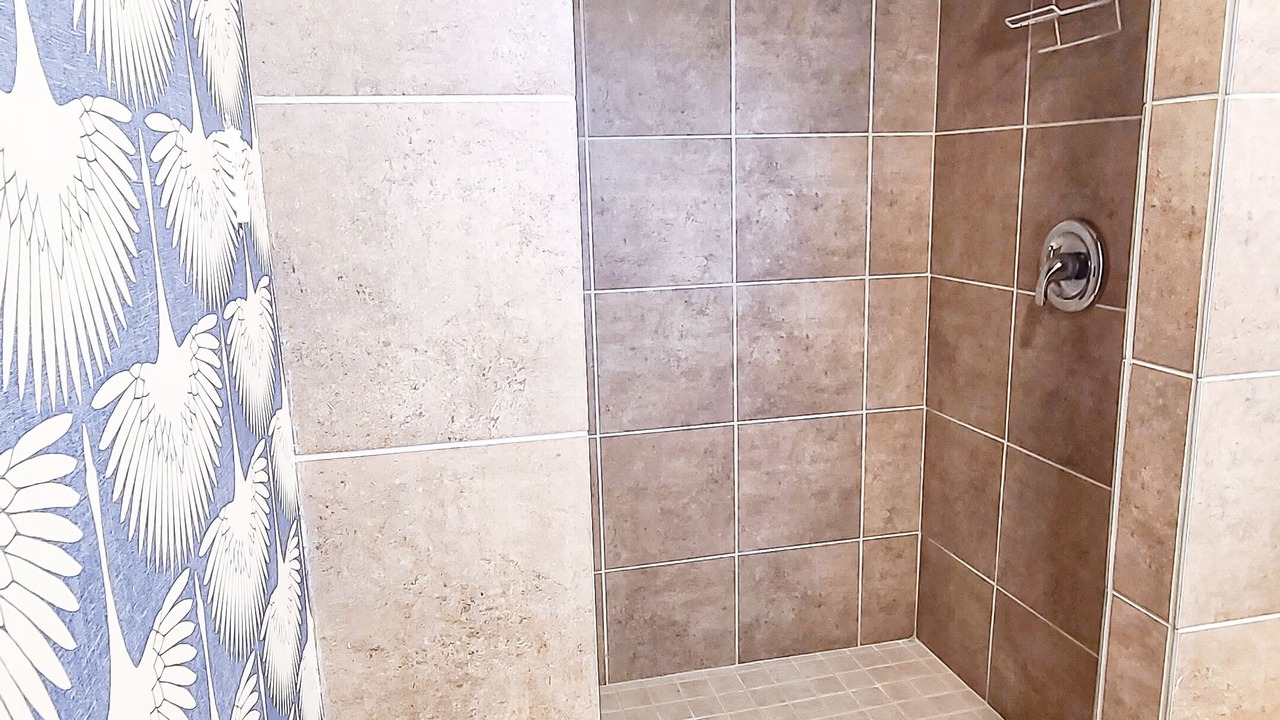 Photo of Bathroom in Picton