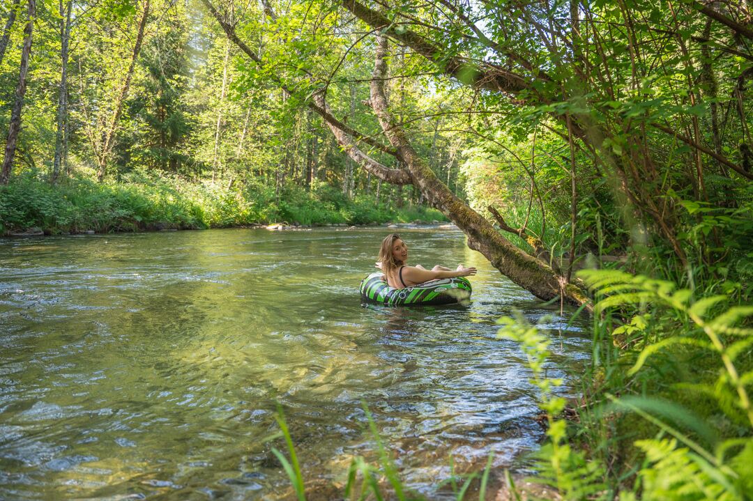 Photo of Others in Maple Ridge