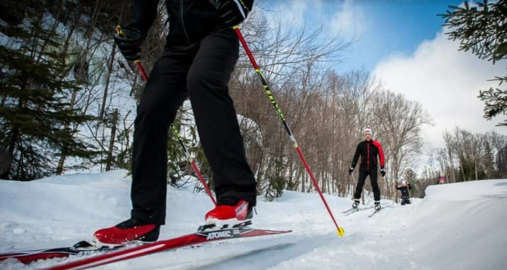 Photo of Others in Amherst