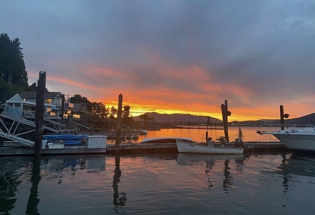 Photo of Others in Cowichan Bay