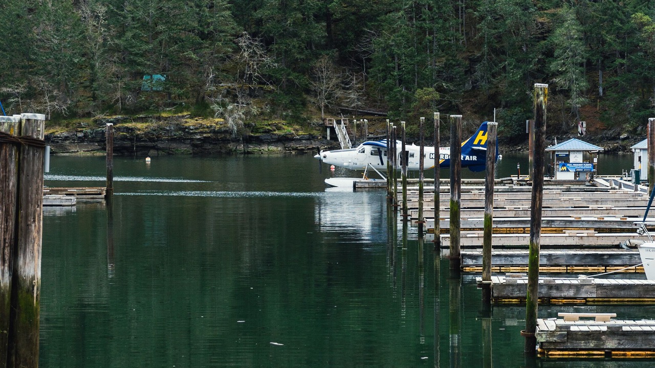 Photo of Others in Maple Bay