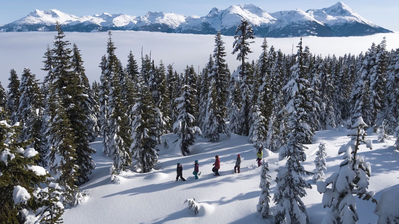 Photo of Others in Whistler Creekside