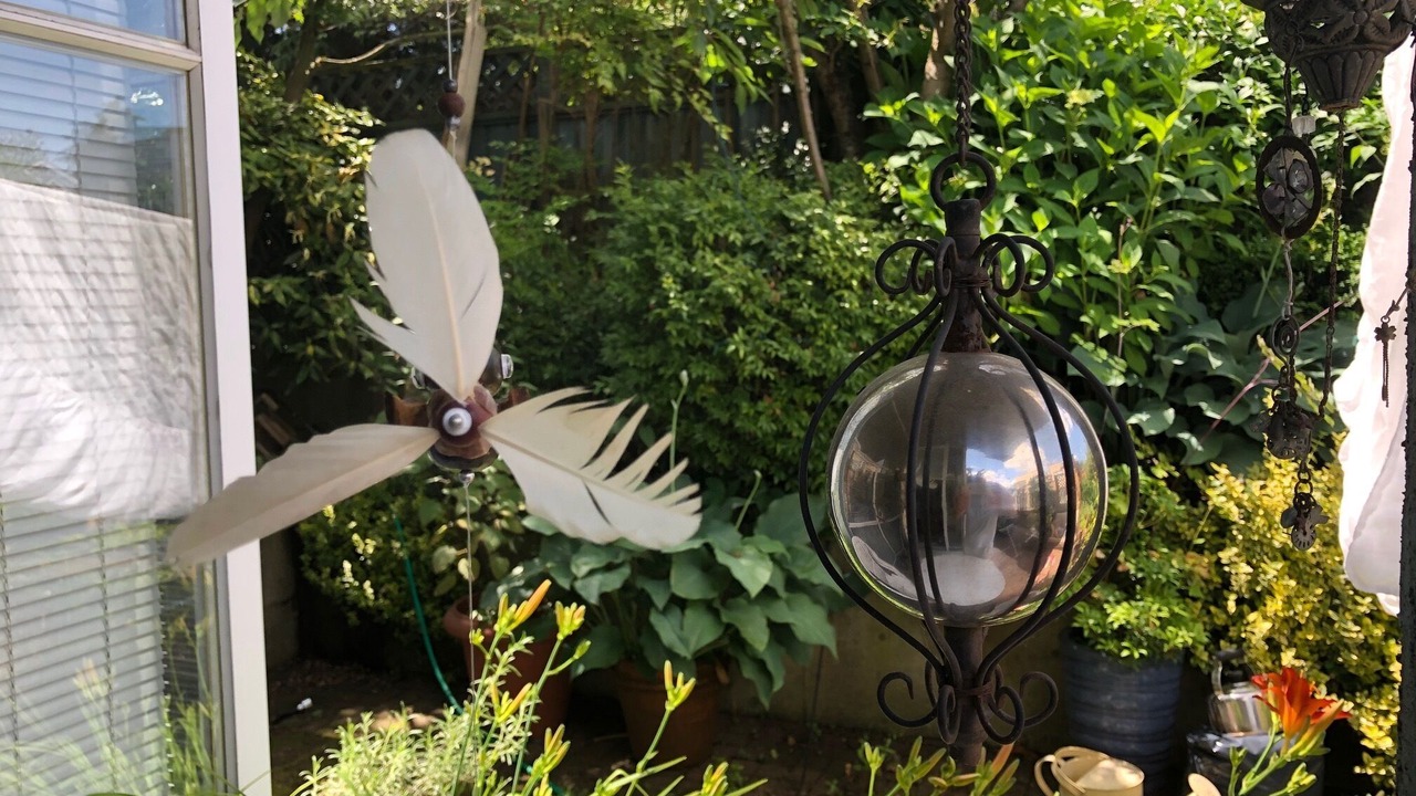 Photo of Outdoor in Kitsilano