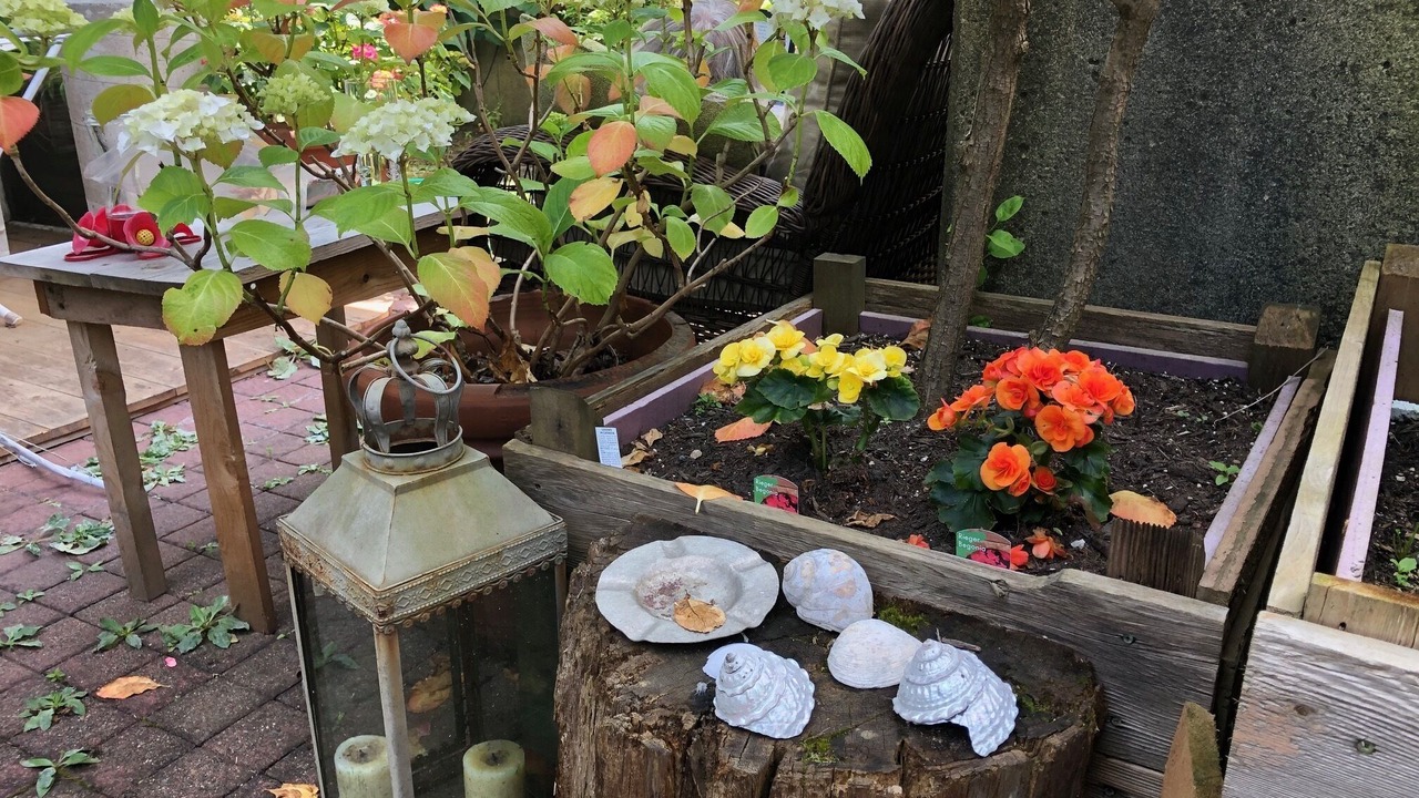 Photo of Outdoor in Kitsilano