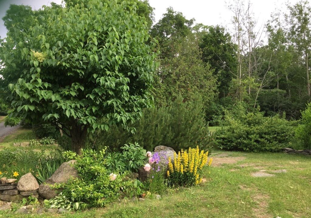 Photo of Outdoor in Bongard