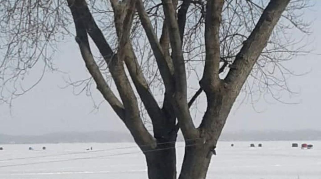 Photo of Outdoor in Innisfil