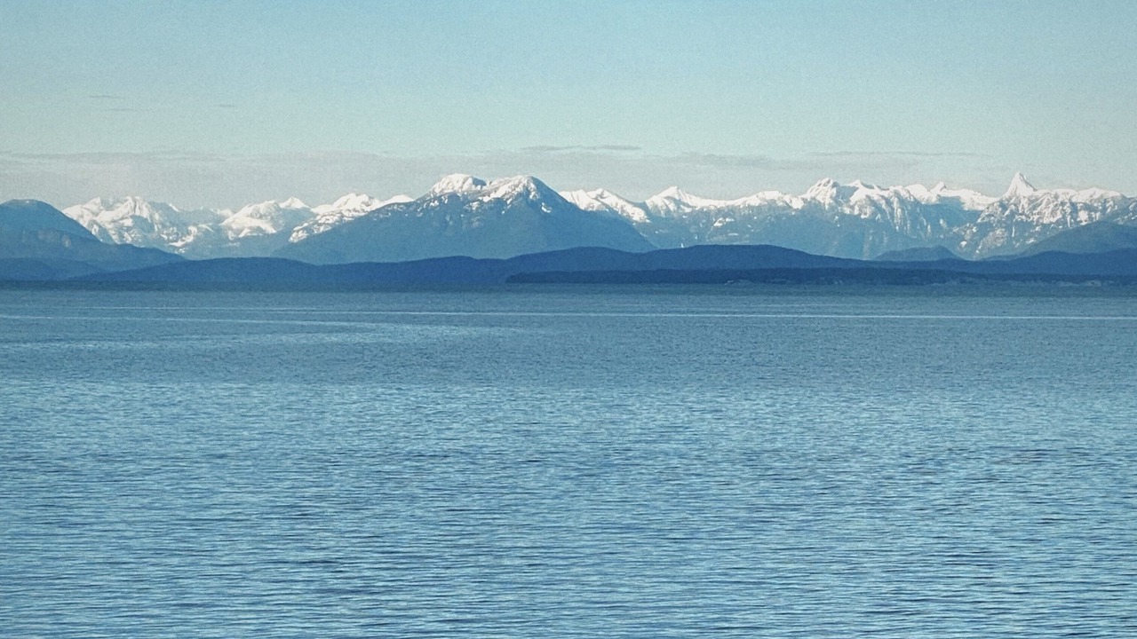 Photo of Others in Courtenay