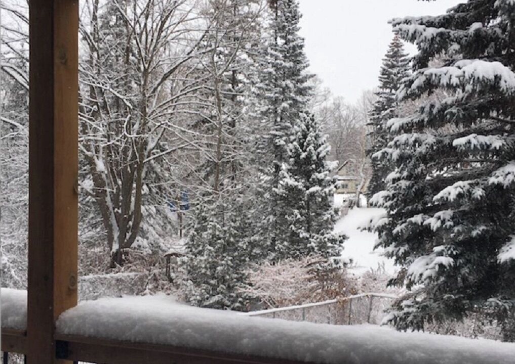 Photo of Outdoor in Orillia