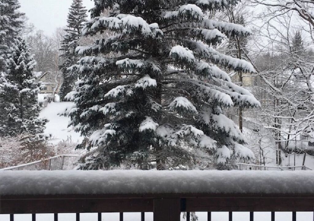 Photo of Outdoor in Orillia