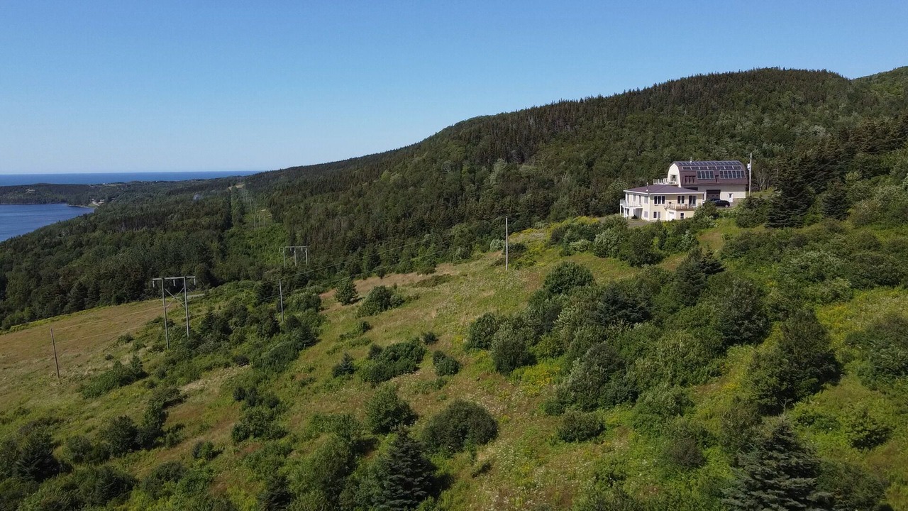 Photo of Outdoor in Margaree