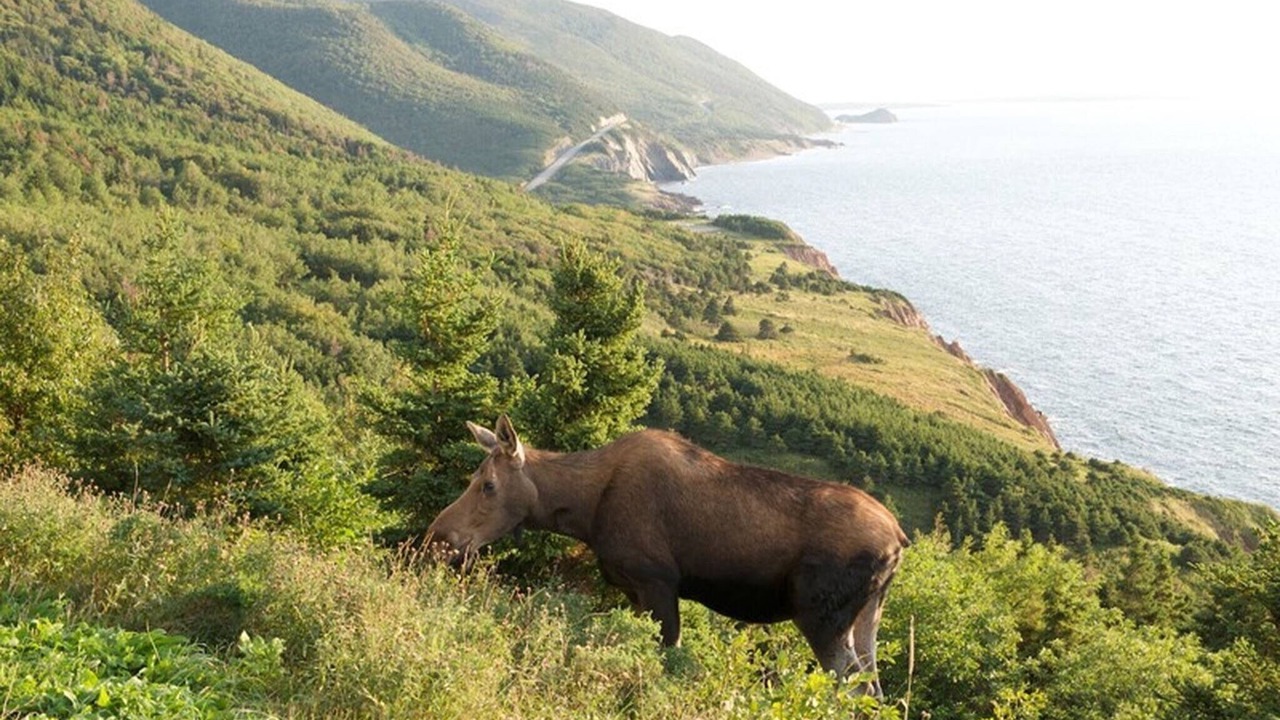 Photo of Outdoor in Pleasant Bay
