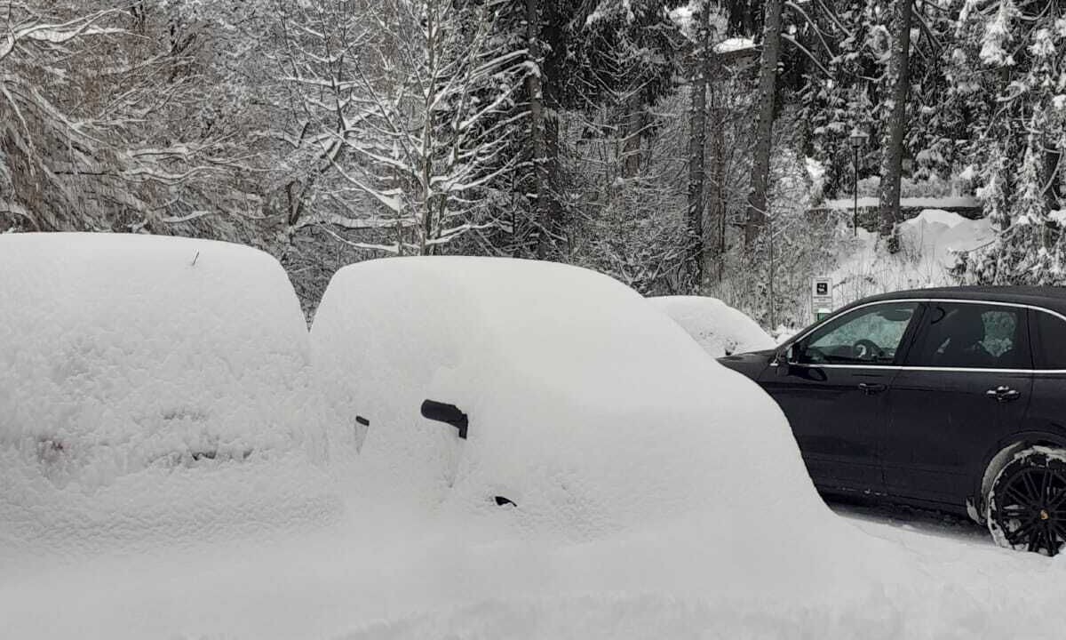 Photo of Outdoor in Moggio