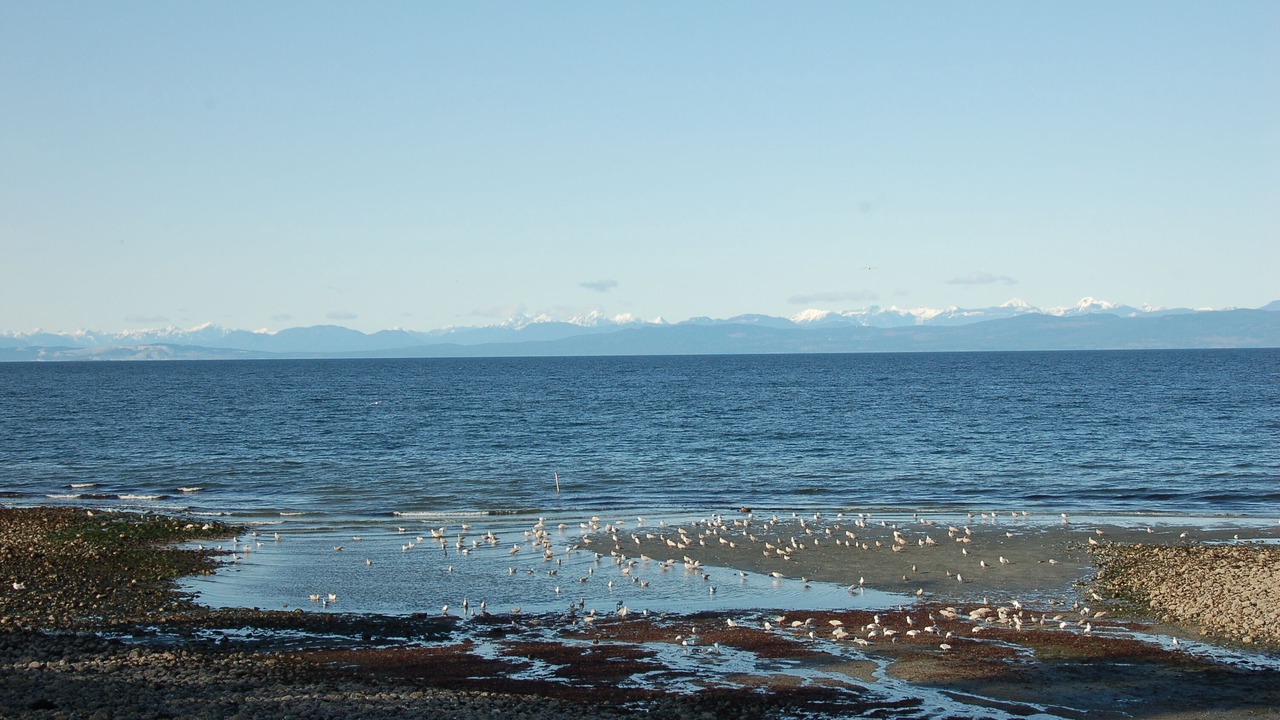 Photo of Others in Regional District of Nanaimo