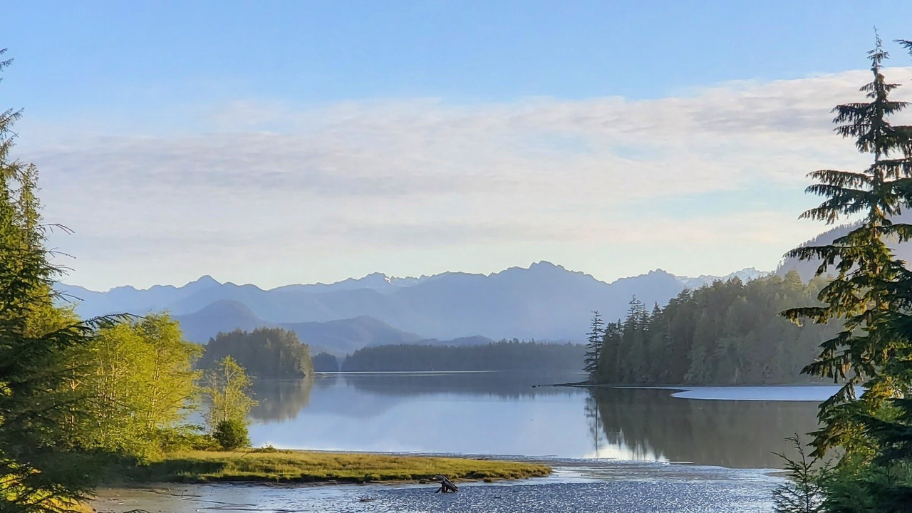 Photo of Others in Tofino