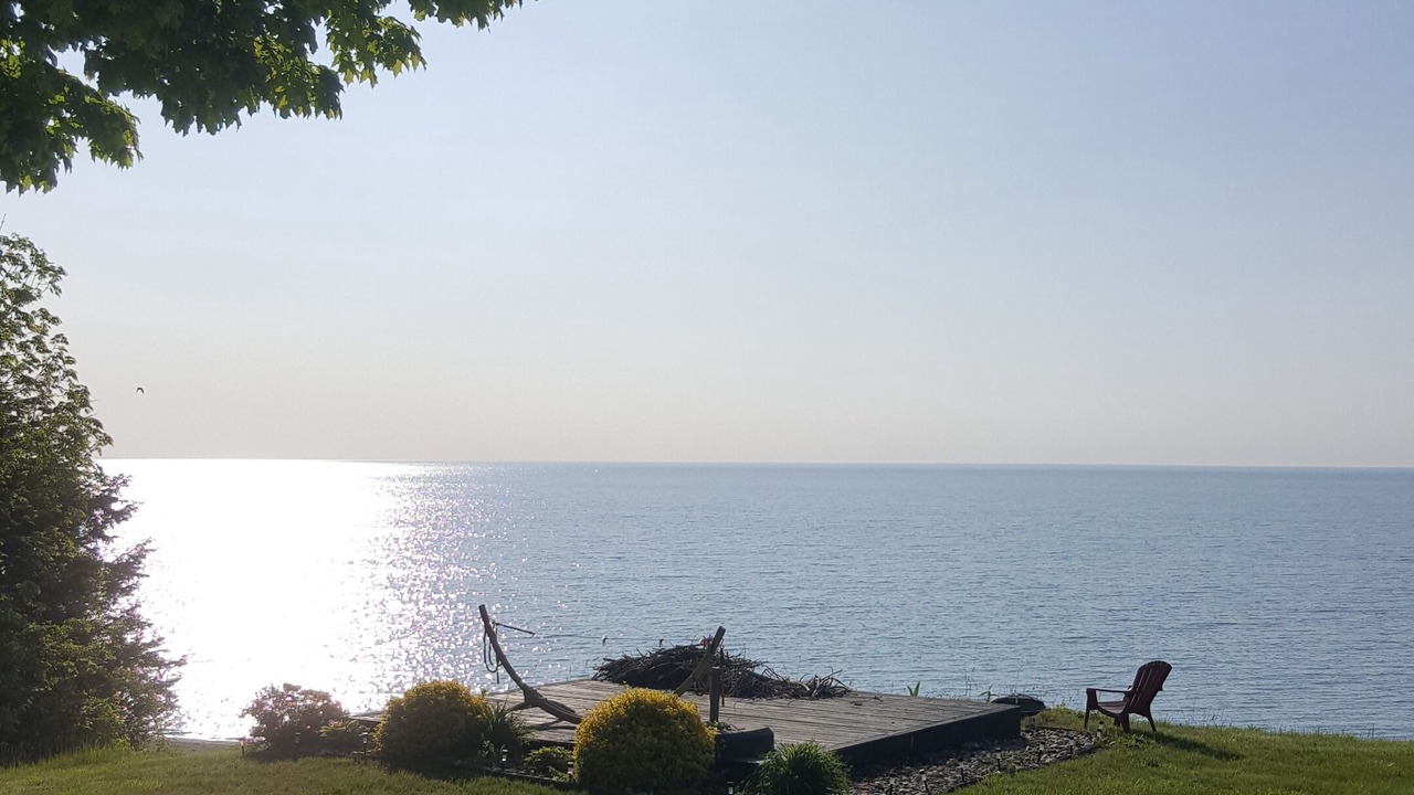 Photo of Outdoor in Romney