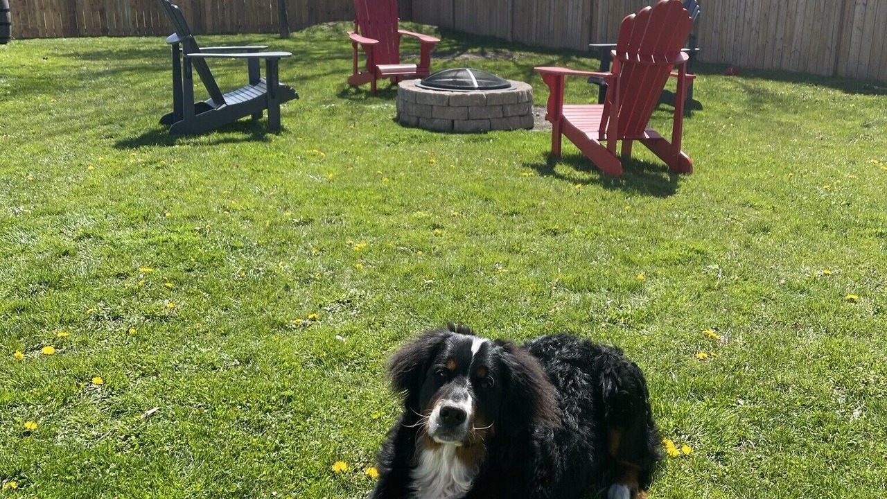 Photo of Outdoor in Vineland