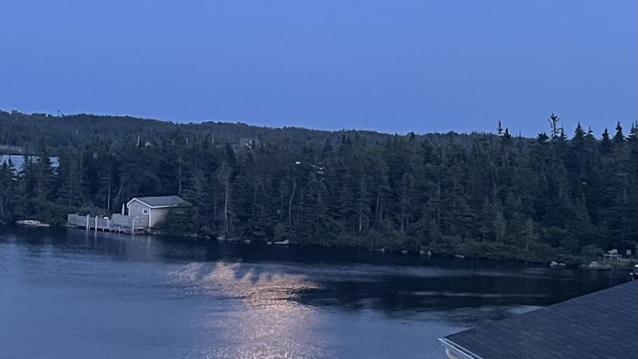 Photo of Others in Terra Nova