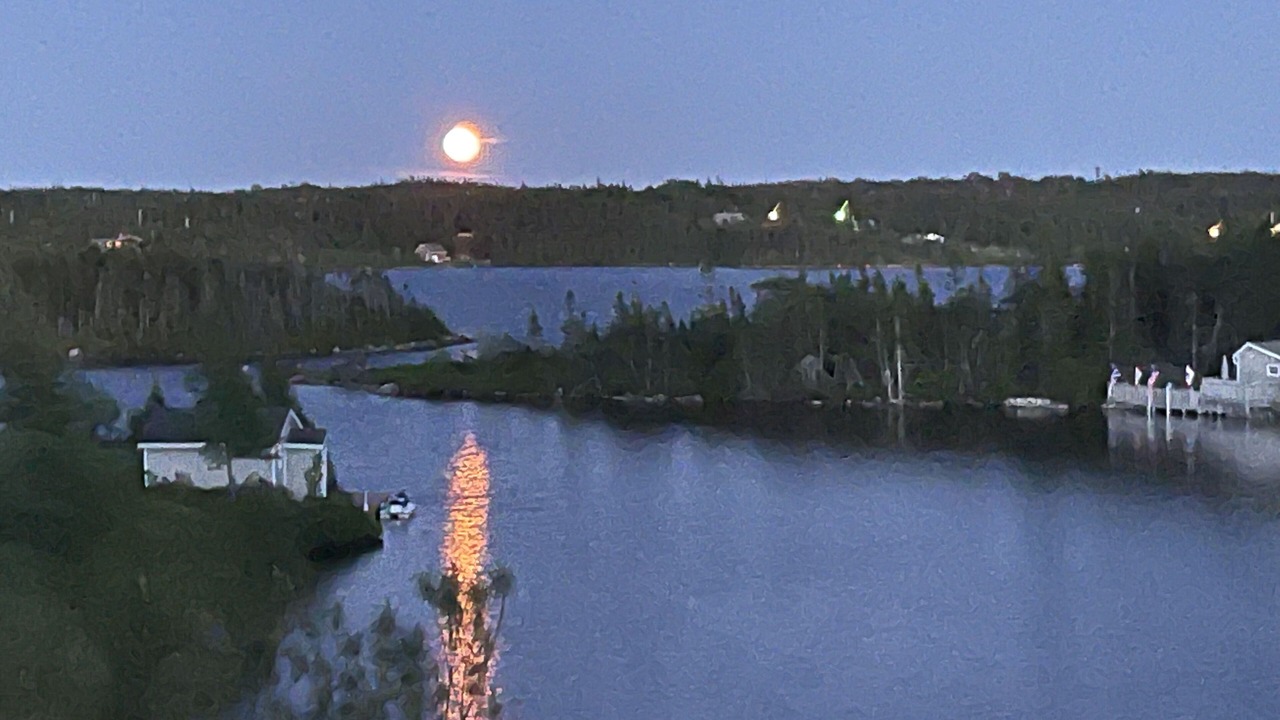 Photo of Others in Terra Nova