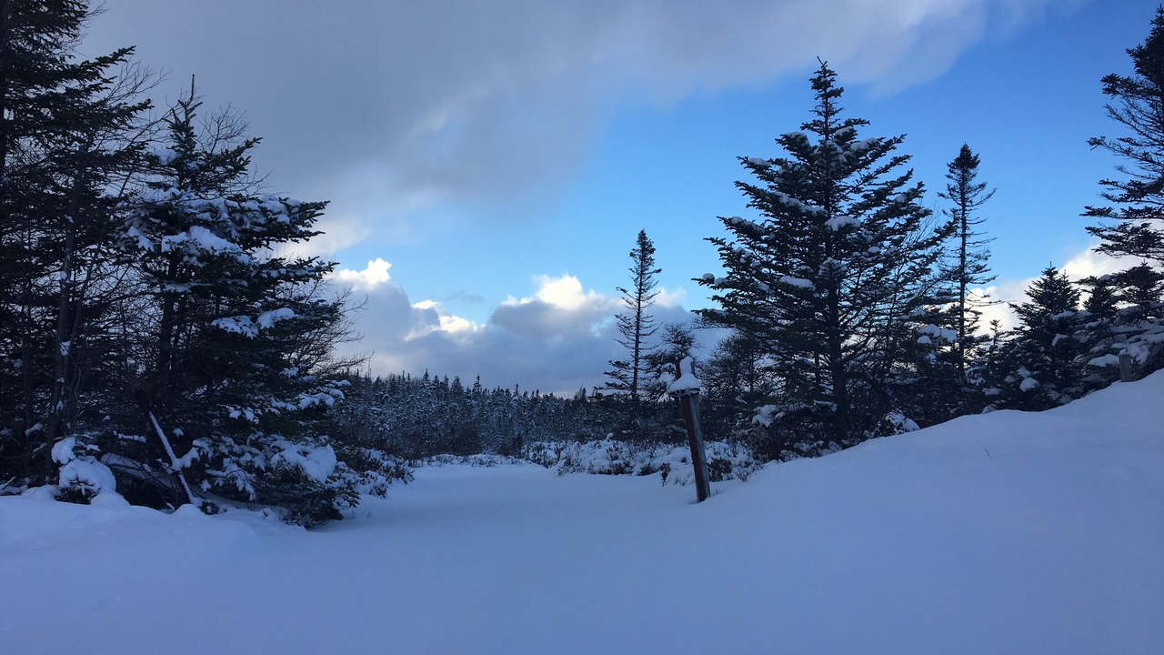 Photo of Others in Terra Nova