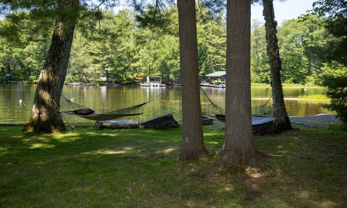 Photo of Others in Bracebridge