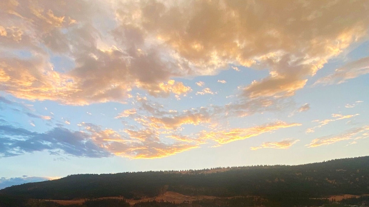 Photo of Others in Central Okanagan