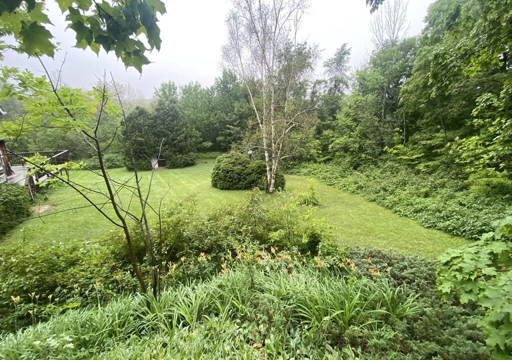 Photo of Outdoor in Clearview